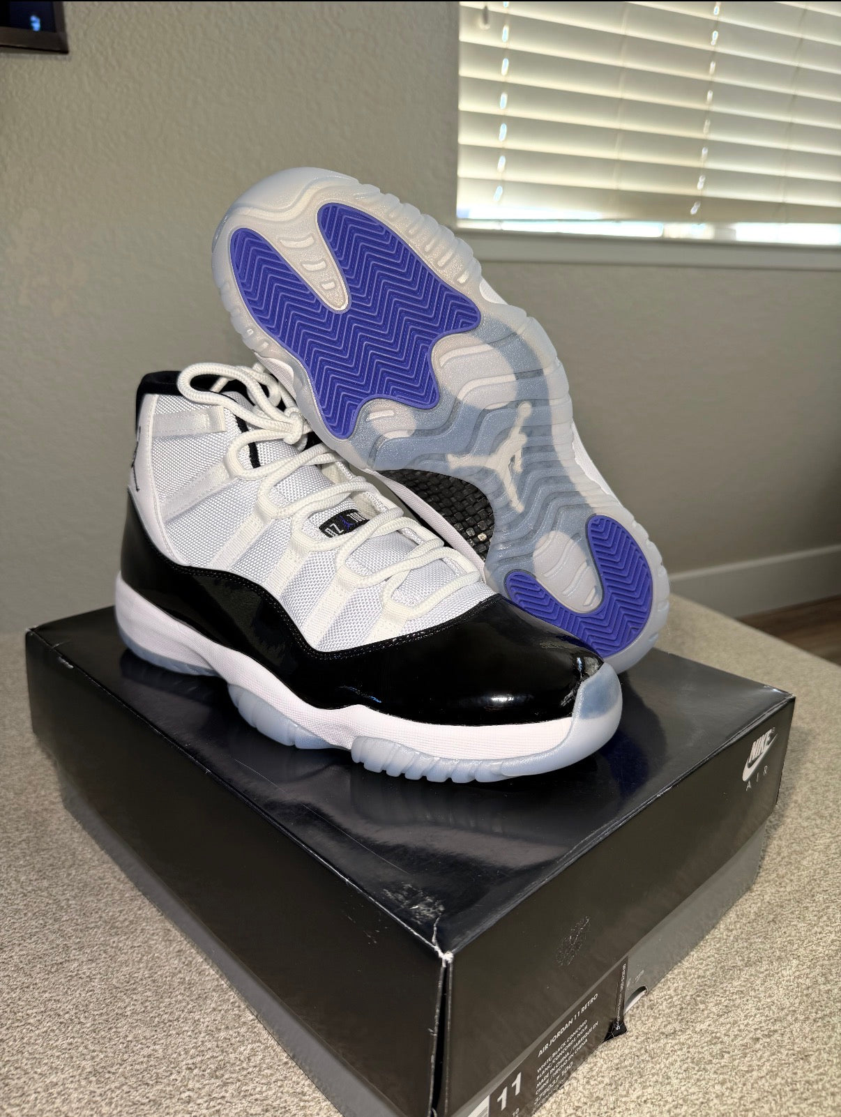 Adult Jordan 11 Retro Concord Highs