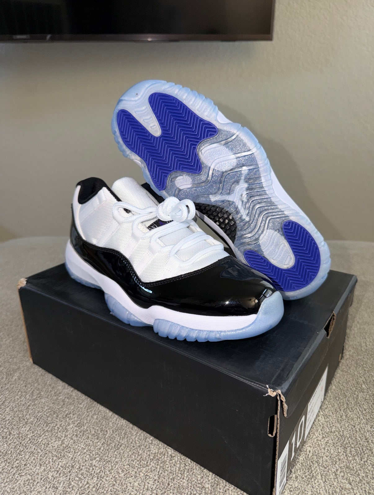 Adult Jordan 11 Retro Concord Lows
